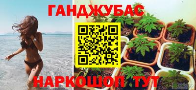 эйфоретик Краснодар
