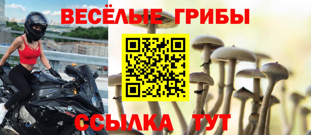 Галлюциногенные грибы Psilocybe  Псилоцибиновые грибы Psilocybe  Ессентуки  Вход с VPN 